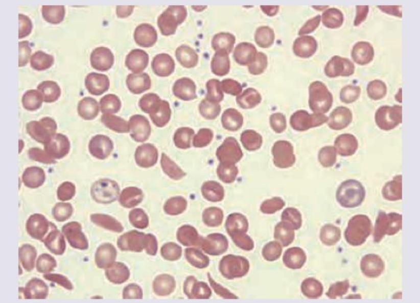 Image for question 5