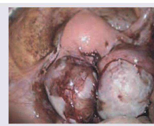 Image for question 3