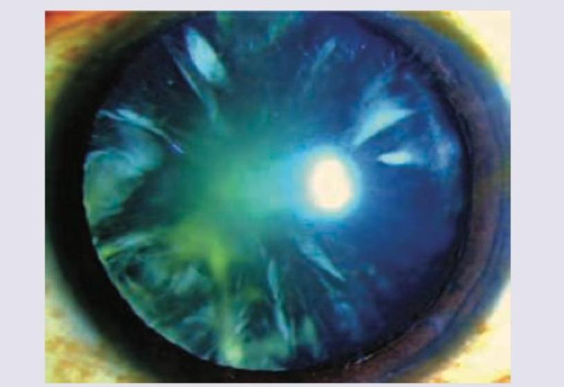 Image for question 248