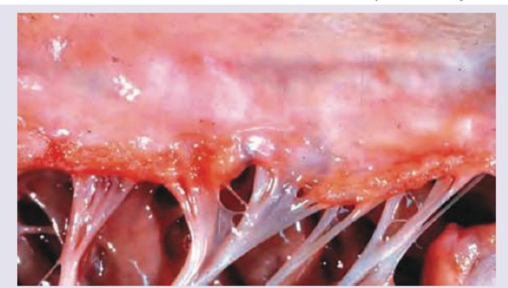 Image for question 1