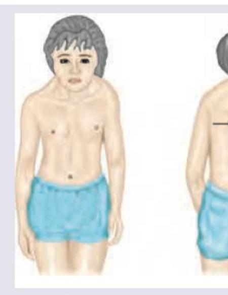 Image for question 283