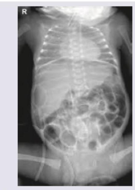 Image for question 9