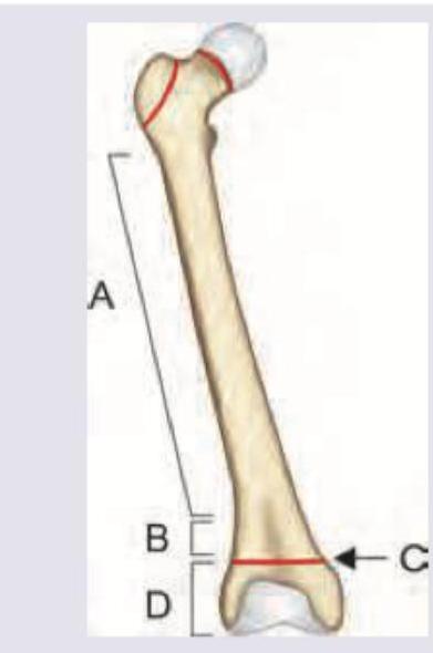 Image for question 10
