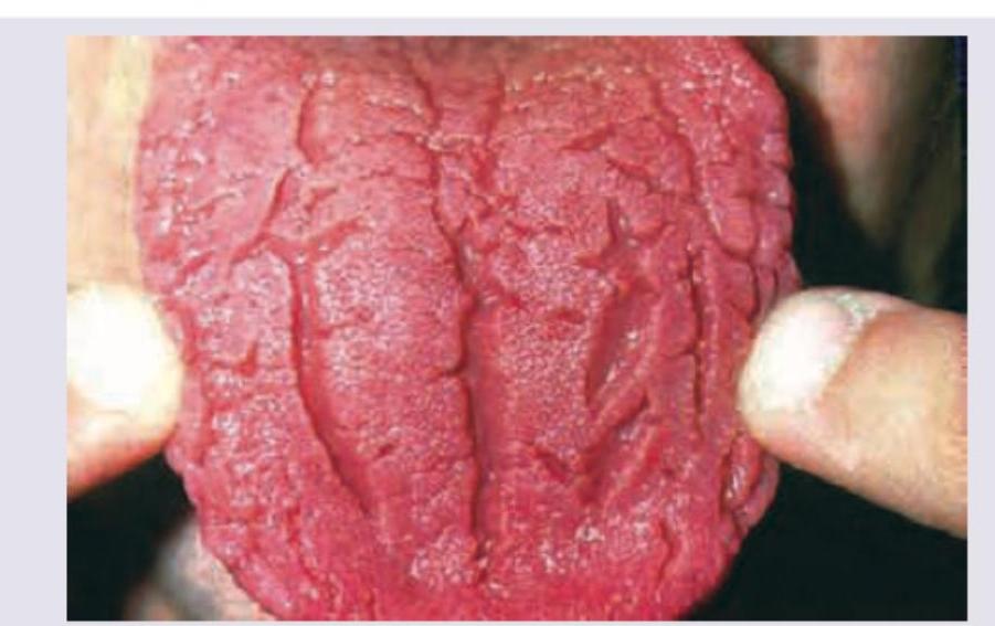 Image for question 11