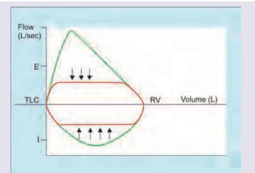 Image for question 9