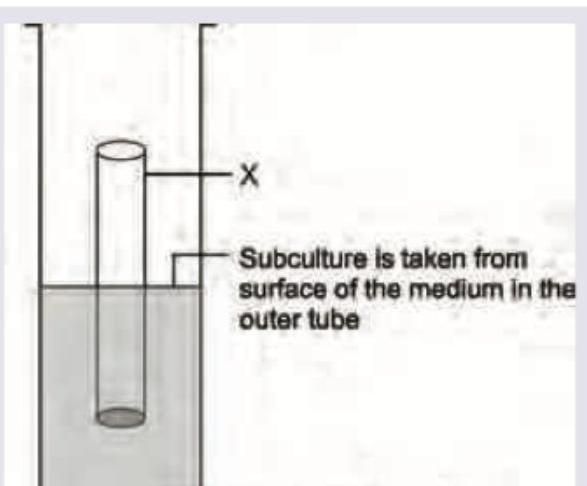 Image for question 127