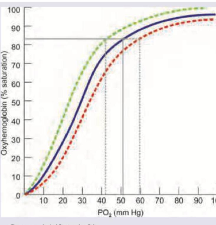 Image for question 10