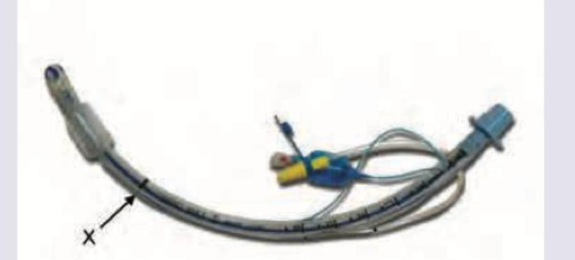 Image for question 301