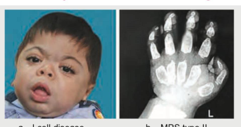 Image for question 9