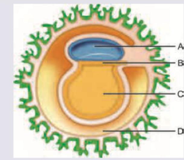 Image for question 10