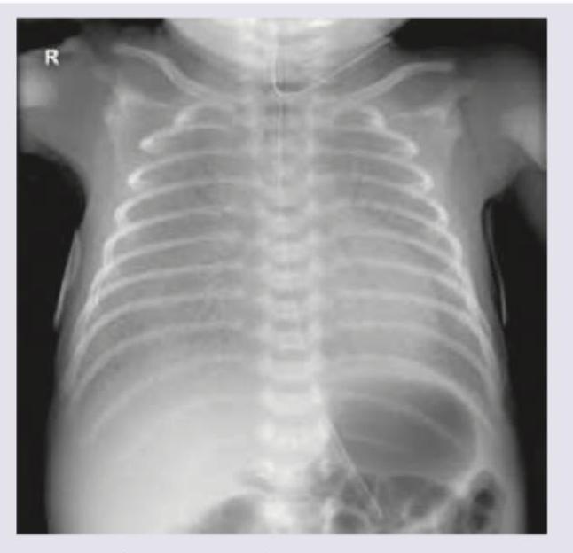 Image for question 8