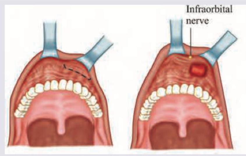 Image for question 8