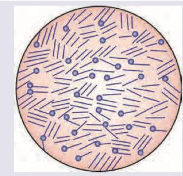 Image for question 99