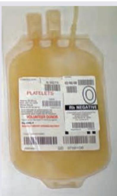 Image for question 858