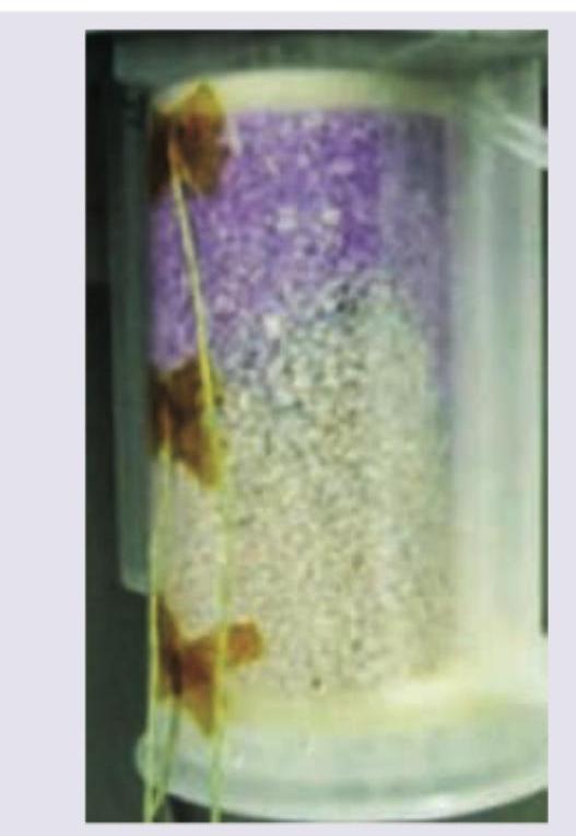 Image for question 286