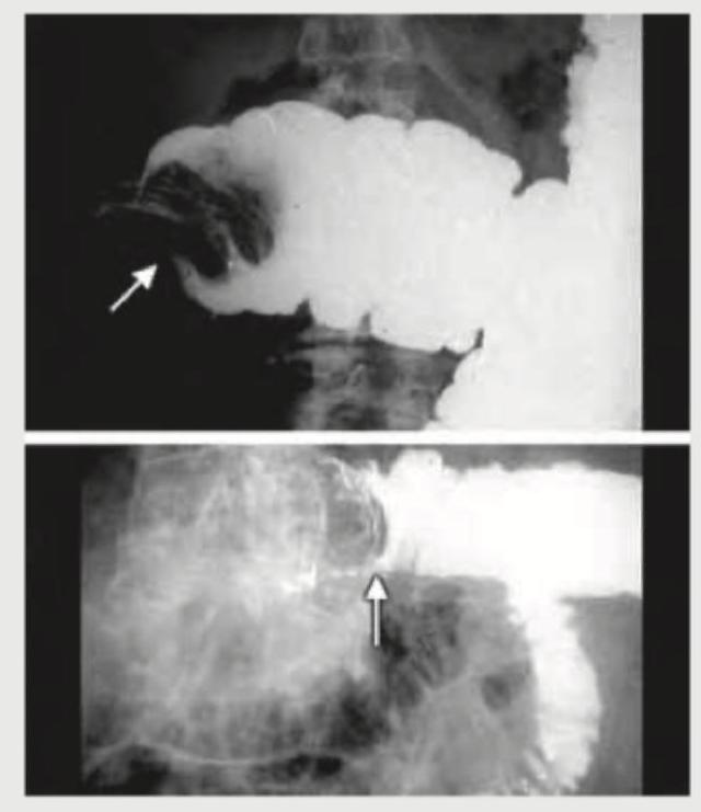 Image for question 256