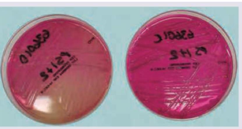 Image for question 2072