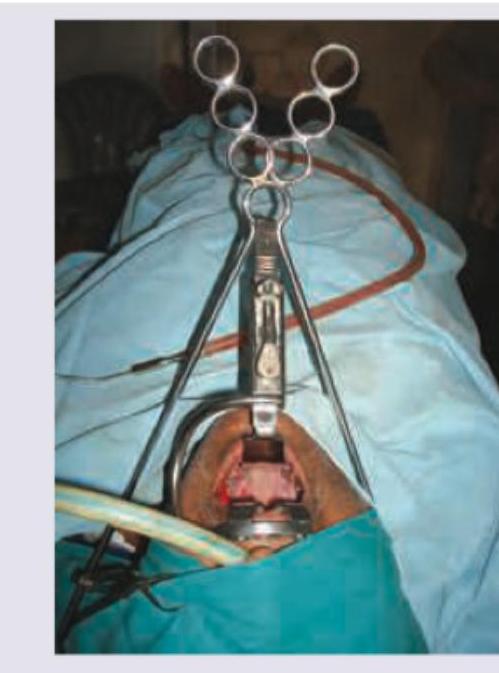 Image for question 9