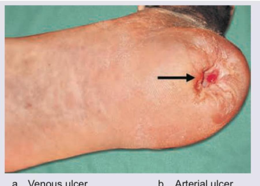 Image for question 243