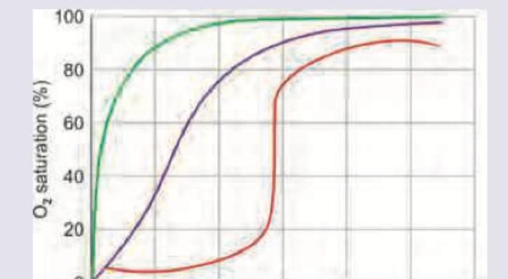 Image for question 9