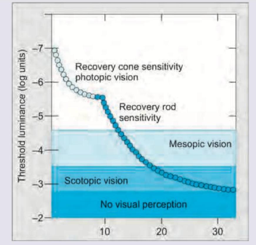Image for question 10