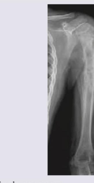 Image for question 257