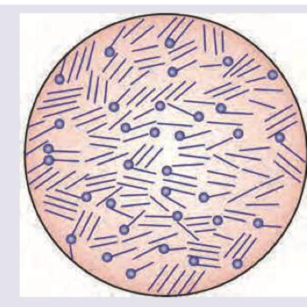 Image for question 2056