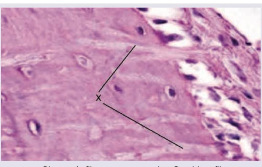 Image for question 400