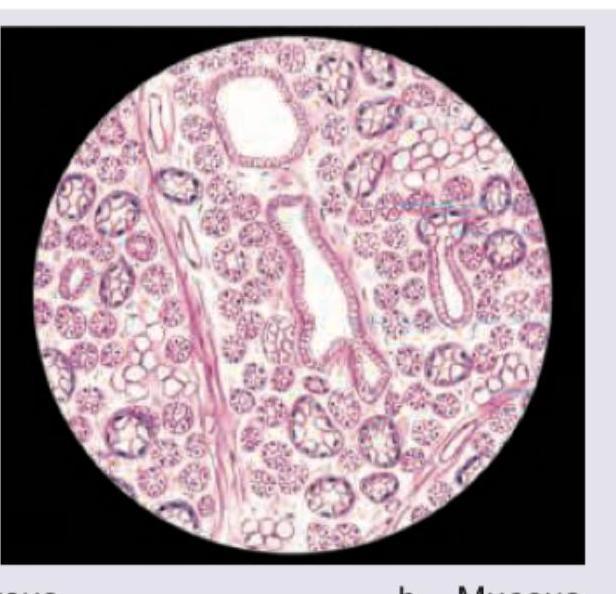 Image for question 16