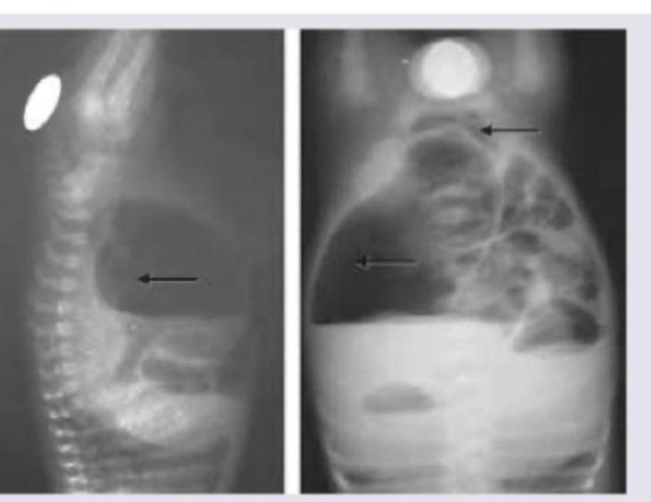 Image for question 10