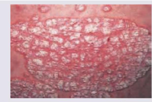 Image for question 16