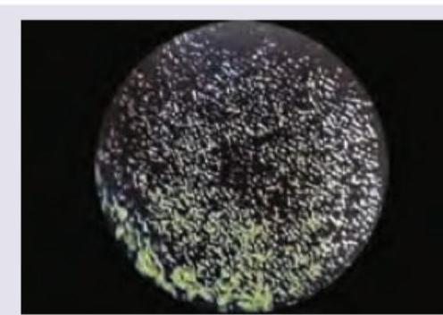 Image for question 127