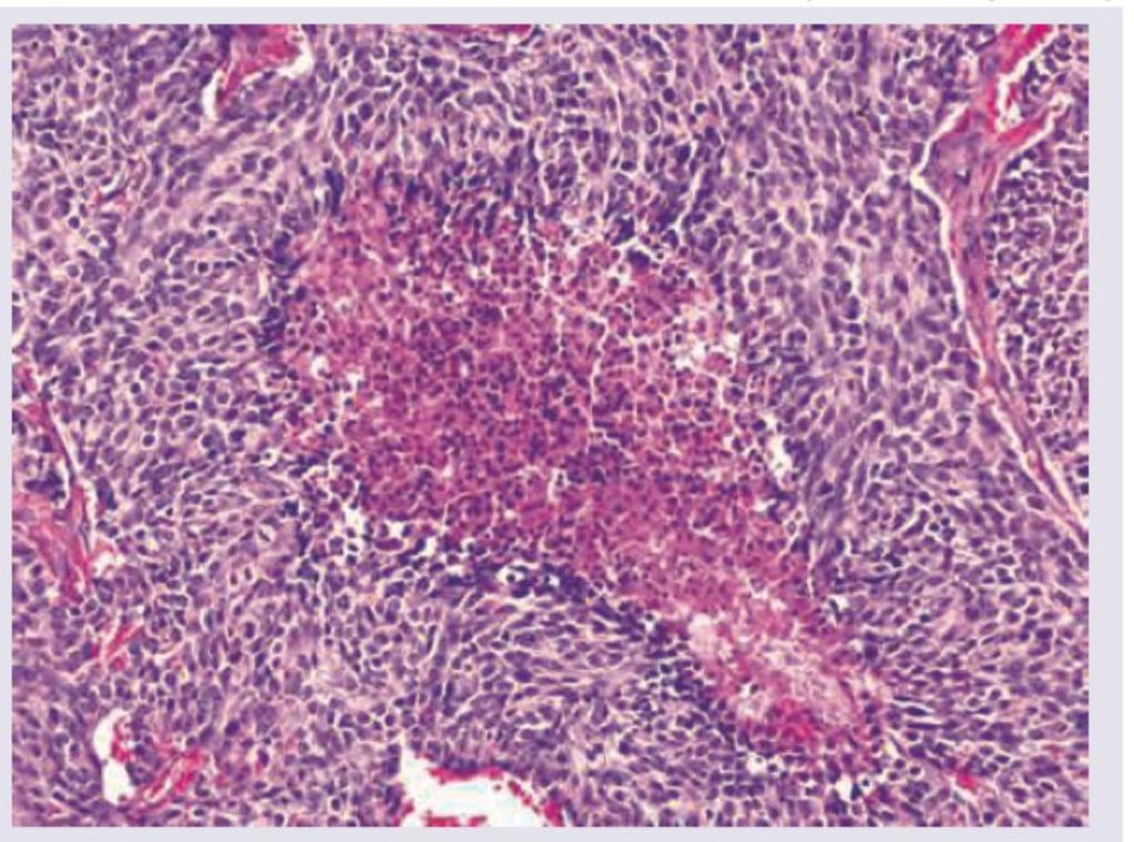 Image for question 2