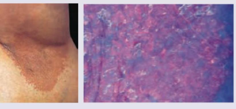 Image for question 7