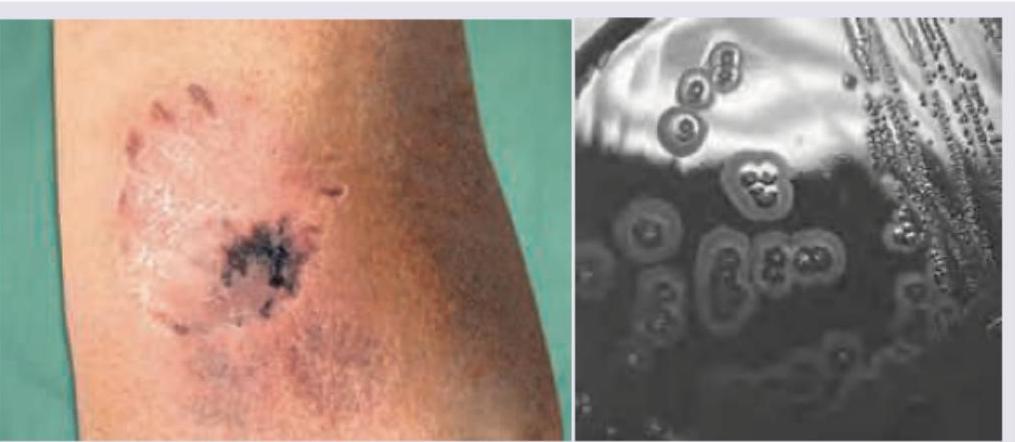 Image for question 10