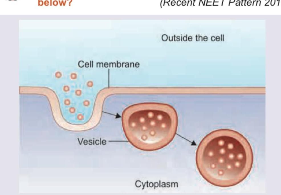 Image for question 362