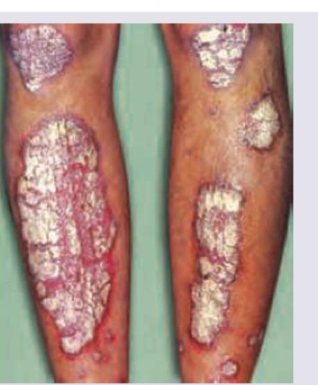 Image for question 8