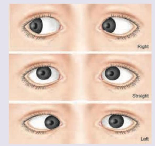 Image for question 6