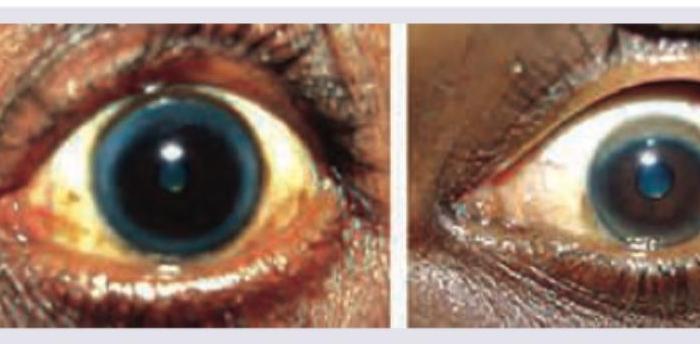 Image for question 6