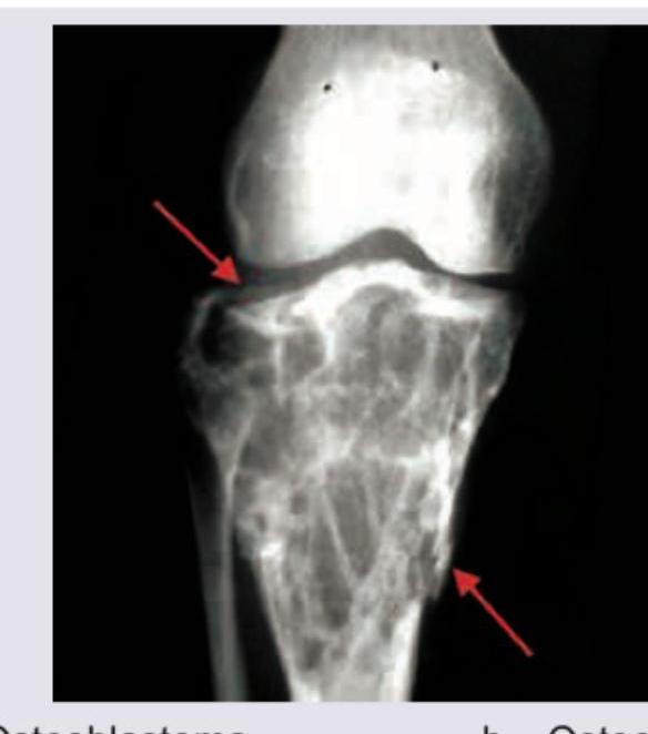 Image for question 244