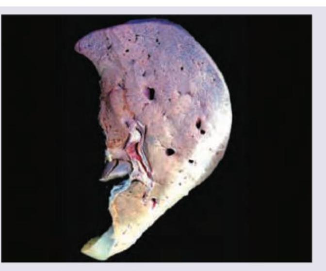 Image for question 10