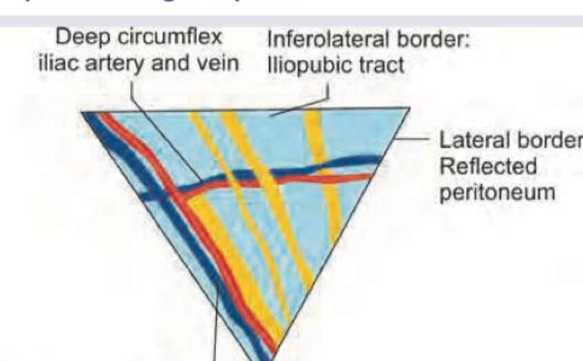 Image for question 7