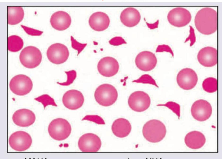 Image for question 863