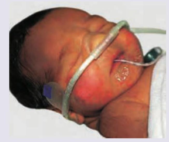 Image for question 15