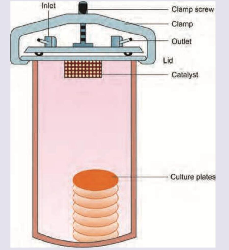 Image for question 173