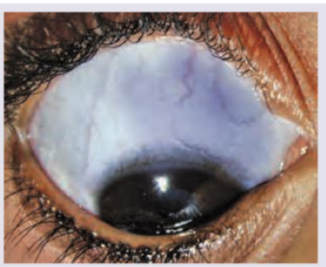 Image for question 7