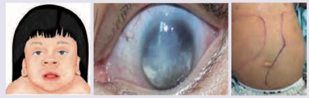 Image for question 633