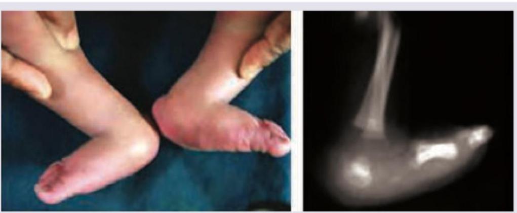 Image for question 287