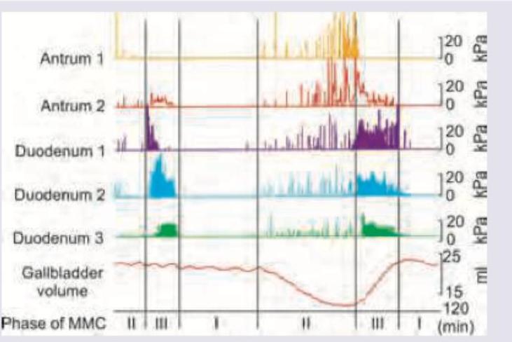 Image for question 7