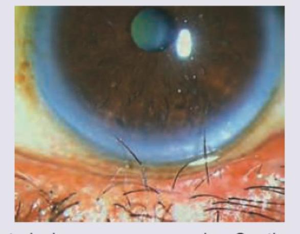 Image for question 40